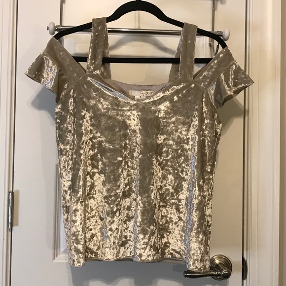 Beautiful drop sleeve silver velvet top by Say What? (S) - Picture 1 of 13